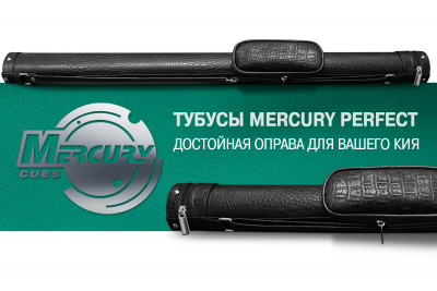 Тубус на 1 кий "Perfect" (1 карман)