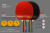 Набор 4 р-ки Level 200, 6 мячей Club Select, сетка с креплением Набор 4 р-ки Level 200, 6 мячей Club Select, сетка с креплением